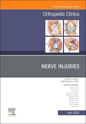 bokomslag Nerve Injuries, An Issue of Orthopedic Clinics