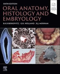 bokomslag Oral Anatomy, Histology and Embryology