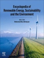 Encyclopedia of Renewable Energy, Sustainability and the Environment, Inbunden