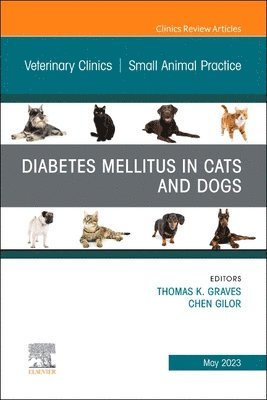 bokomslag Diabetes Mellitus in Cats and Dogs, An Issue of Veterinary Clinics of North America: Small Animal Practice