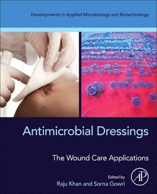 Raju Khan, Sorna Gowri - Antimicrobial Dressings, Häftad