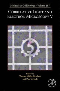 bokomslag Correlative Light and Electron Microscopy V