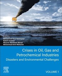 bokomslag Crises in Oil, Gas and Petrochemical Industries