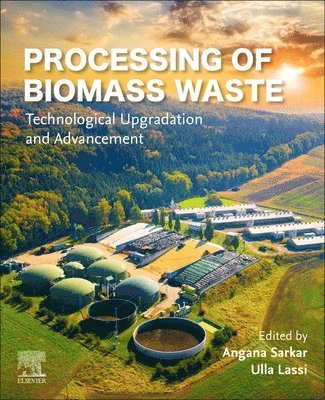 Processing of Biomass Waste 1