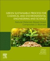 Tariq Altalhi, Arwa Alrooqi, Inamuddin - Green Sustainable Process for Chemical and Environmental Engineering and Science, Häftad