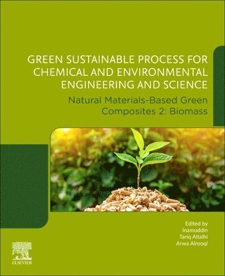 bokomslag Green Sustainable Process for Chemical and Environmental Engineering and Science