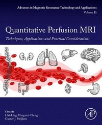 bokomslag Quantitative Perfusion MRI