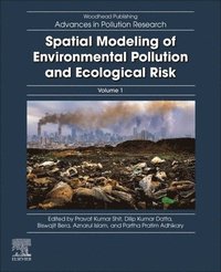 bokomslag Spatial Modeling of Environmental Pollution and Ecological Risk