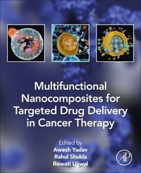 bokomslag Multifunctional Nanocomposites for Targeted Drug Delivery in Cancer Therapy