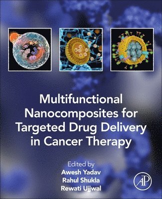 bokomslag Multifunctional Nanocomposites for Targeted Drug Delivery in Cancer Therapy