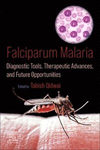 bokomslag Falciparum Malaria