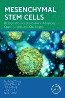 Leisheng Zhang, Zhongchao Han, Jialun Wang, Zongjin Li, Qing Huang - Mesenchymal Stem Cells, Häftad