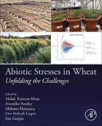 bokomslag Abiotic Stresses in Wheat