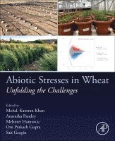 Mohd. Kamran Khan, Anamika Pandey, Mehmet Hamurcu, Om Prakash Gupta, Sait Gezgin - Abiotic Stresses in Wheat, Häftad