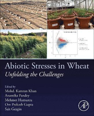 Abiotic Stresses in Wheat 1