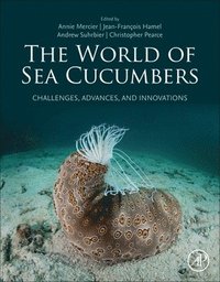 bokomslag The World of Sea Cucumbers
