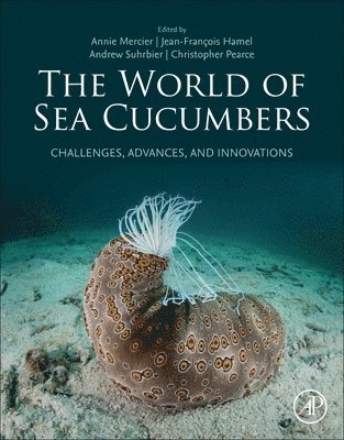 The World of Sea Cucumbers 1