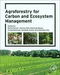 bokomslag Agroforestry for Carbon and Ecosystem Management