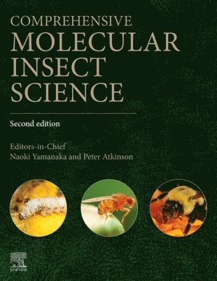 Comprehensive Molecular Insect Science, Inbunden
