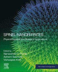 bokomslag Spinel Nanoferrites