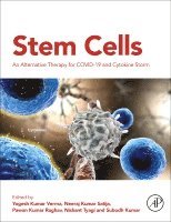 Yogesh Kumar Verma, Neeraj Kumar Satija, Pawan Kumar Raghav, Nishant Tyagi, Subodh Kumar - Stem Cells, Häftad