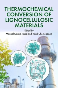 bokomslag Thermochemical Conversion of Lignocellulosic Materials