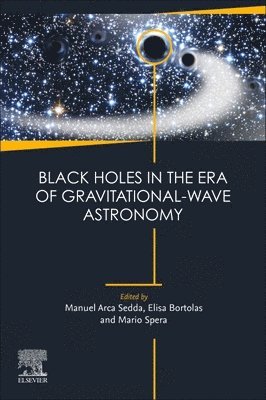 bokomslag Black Holes in the Era of Gravitational-Wave Astronomy