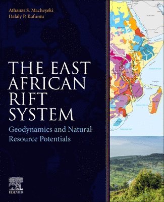 The East African Rift System 1