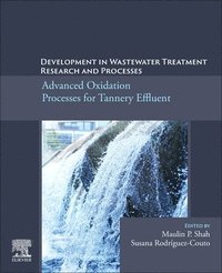 bokomslag Development in Wastewater Treatment Research and Processes