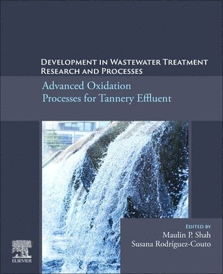 bokomslag Development in Wastewater Treatment Research and Processes