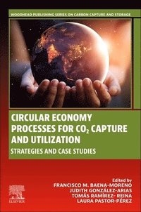 bokomslag Circular Economy Processes for CO2 Capture and Utilization