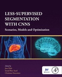 bokomslag Less-Supervised Segmentation with CNNs