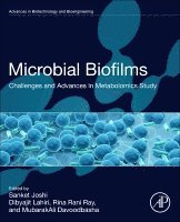 Sanket Joshi, Dibyajit Lahiri, Rina Rani Ray, MubarakAli Davoodbasha - Microbial Biofilms, Häftad