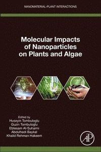 bokomslag Molecular Impacts of Nanoparticles on Plants and Algae