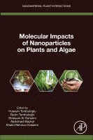 Huseyin Tombuloglu, Guzin Tombuloglu, Ebtesam Al-Suhaimi, Abdulhadi Baykal, Khalid Rehman Hakeem - Molecular Impacts of Nanoparticles on Plants and Algae, Häftad