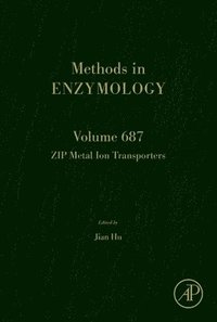 bokomslag ZIP Metal Ion Transporters