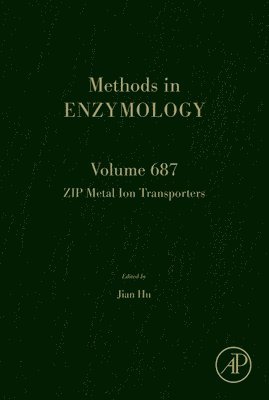 bokomslag ZIP Metal Ion Transporters