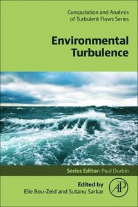bokomslag Environmental Turbulence