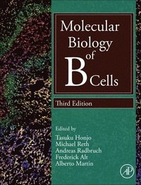 bokomslag Molecular Biology of B Cells