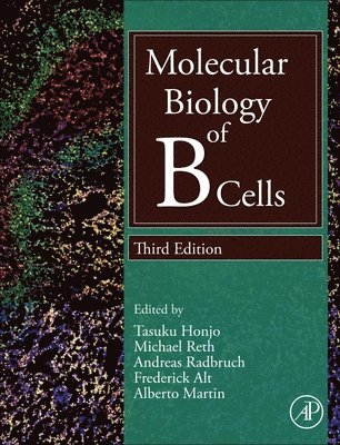 bokomslag Molecular Biology of B Cells