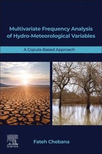 bokomslag Multivariate Frequency Analysis of Hydro-Meteorological Variables