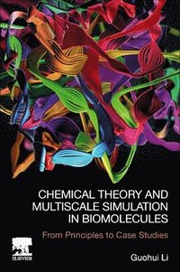 bokomslag Chemical Theory and Multiscale Simulation in Biomolecules