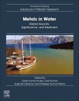 Sushil Kumar Shukla, Sunil Kumar, Sughosh Madhav, Pradeep Kumar Mishra - Metals in Water, Häftad