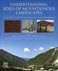 bokomslag Understanding Soils of Mountainous Landscapes