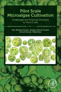 bokomslag Pilot Scale Microalgae Cultivation