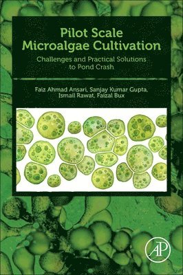 Pilot Scale Microalgae Cultivation 1