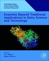 Y.S. Rajput, Rajan Sharma - Enzymes Beyond Traditional Applications in Dairy Science and Technology, Häftad