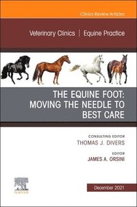 bokomslag The Equine Foot: Moving the Needle to Best Care, An Issue of Veterinary Clinics of North America: Equine Practice