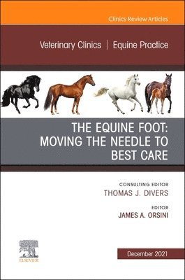 bokomslag Equine Foot: Moving the Needle to Best Care, An Issue of Veterinary Clinics of North America: Equine Practice