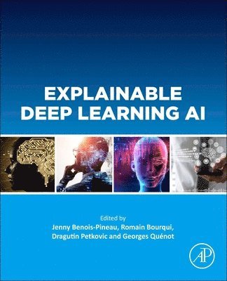 Jenny Benois-Pineau, Romain Bourqui, Dragutin Petkovic, Georges Quenot - Explainable Deep Learning AI, Häftad
